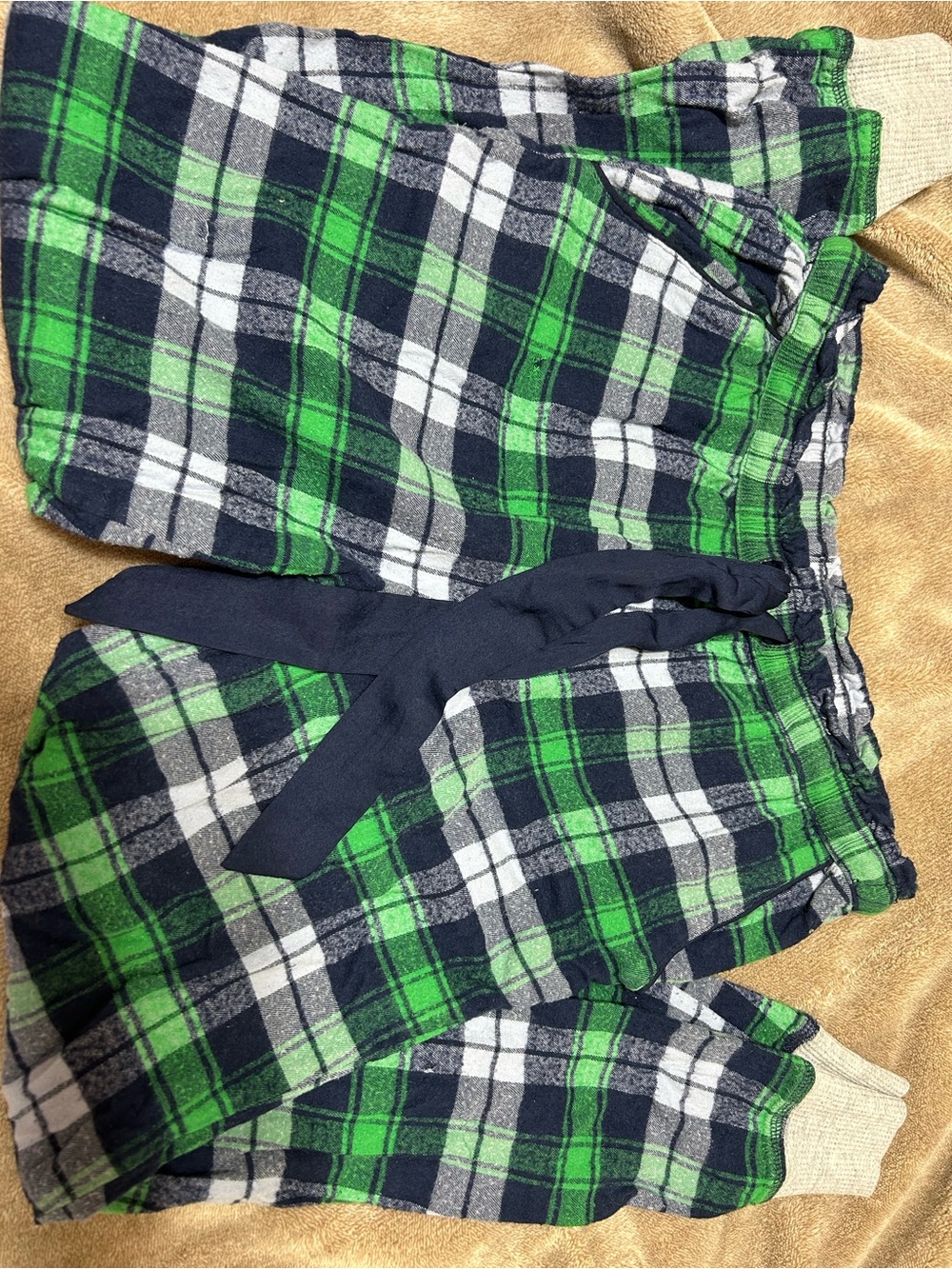 aerie Green, Navy & White Plaid Lounge Shorts